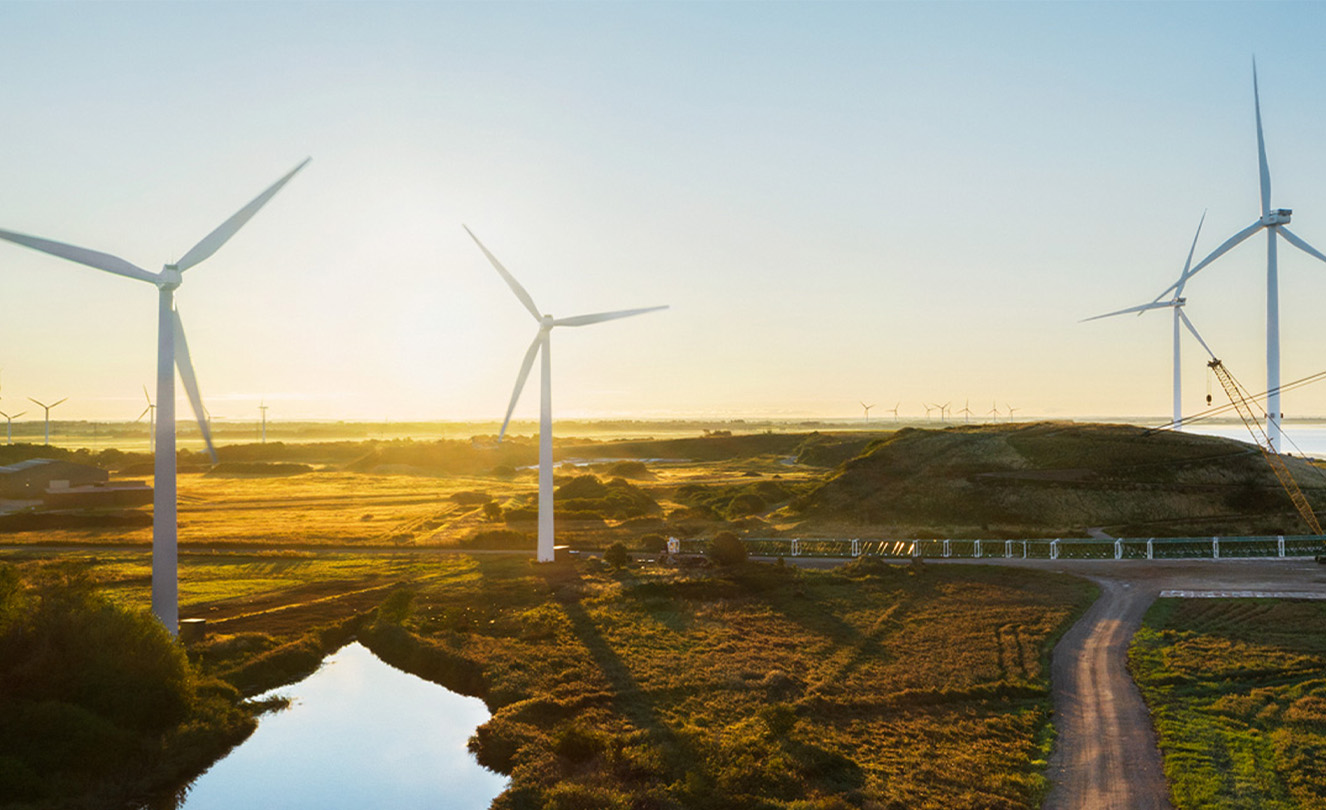 Un campo con diverse turbine eoliche che producono energia.